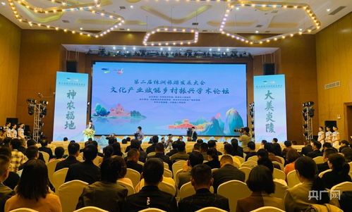 文化產(chǎn)業(yè)賦能鄉(xiāng)村振興學(xué)術(shù)論壇 舉辦 央廣網(wǎng)