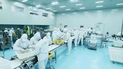 疆果果 深耕新疆堅果，以創(chuàng)新研發(fā)打造品質(zhì)與文化融合的產(chǎn)業(yè)標(biāo)桿