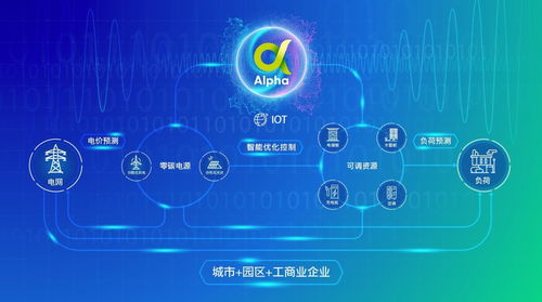 能源運營賦能，讓千行百業降費節碳——胡江論公共資源交易技術服務的綠色變革